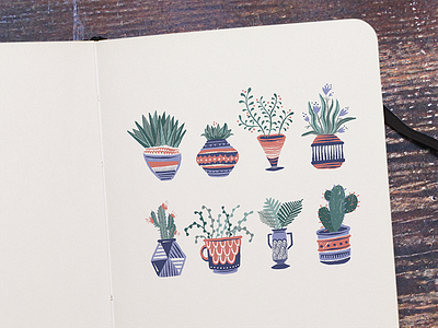 Plants & Pots