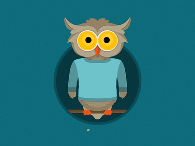 Little Owl illustration owl