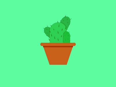 Cactus - vector illustration adobe illustrator cactus graphic design icon plants vector vector illustration