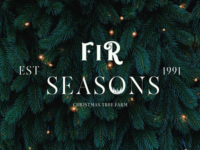 Fir Season graphic design illustration logo typography