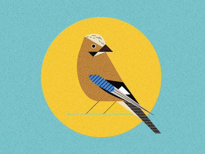 Eurasian Jay bird geometry illustration