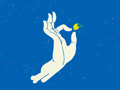 Artisan Lemon icons illustration
