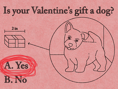 Is your Valentine’s gift a dog? dog gift valentines