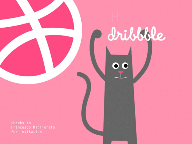 A cat jumping cats crisps digital illustration flat design gif happy cat pink