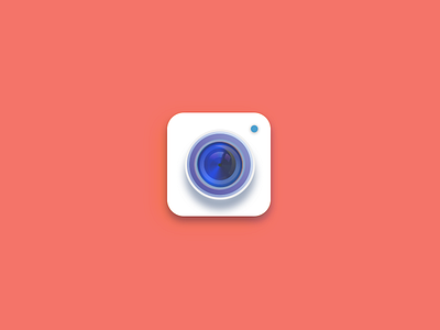 Another camera icon