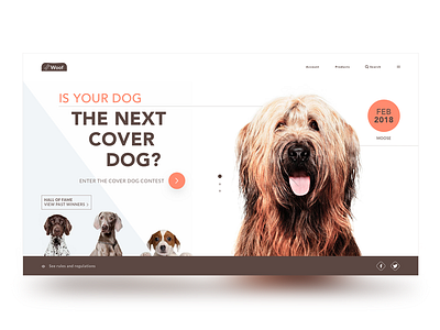 Woof interface ui ux web website