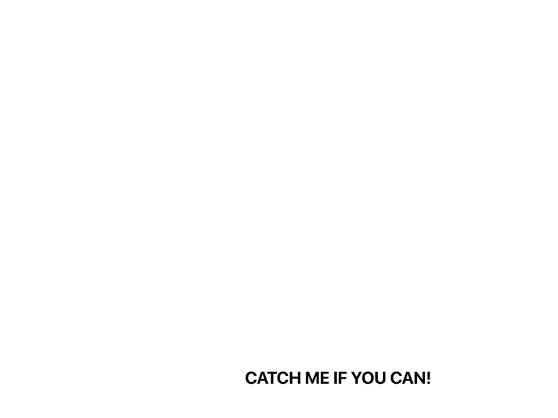 Catch me if you can animation aftereffect