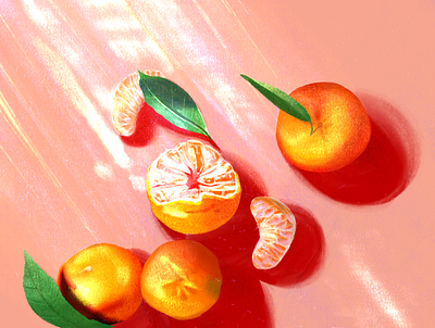 Mandarin bright chinese fruit highlights illustration leaf lighting mandarin orange shadows shine sunlight