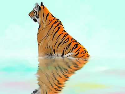 Tiger Tiger illustration procreate reflections tiger