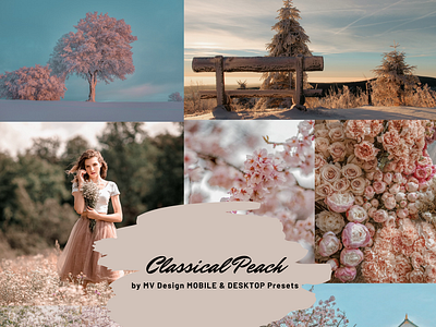 Classical Peach Lightroom presets