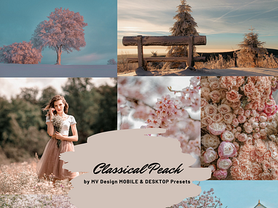 Classical Peach Lightroom presets adobe adobe photoshop design editing filter illustration instagram lightroom lightroom presets logo