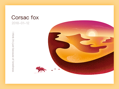 Corsac Fox