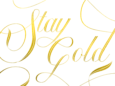 Stay Gold calligraphy hand lettering illustrator lettering script type typography vector