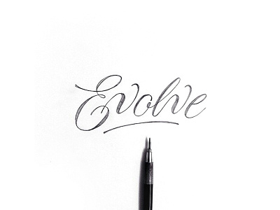 Evolve calligraphy copperplate hand lettering lettering script type typeface typography