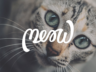 Meow ambigram bezier curves brush brushscript calligraphy cats hand lettering lettering typography vector