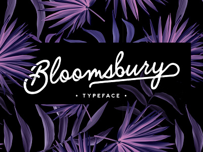 Bloomsbury Typeface creative market font hand lettering lettering monoline typeface typography vintage