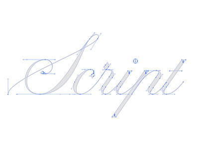 Script bezier curves brush calligraphy hand lettering lettering typography vector