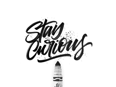 Stay Curious adobe calligraphy crayola hand-lettering lettering letters marker pen type typography