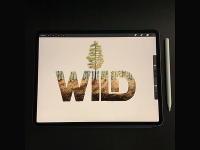 WILD calligraphy hand lettering illustration lettering procreate procreate art timelapse typography video wild