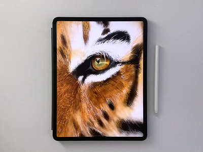 Tiger Eye animal eye illustration ipad paint procreate tiger video