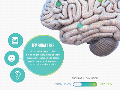 Interactive Brain Detail brain icons interactive interface mesh neon slider ui ux web web design wireframe