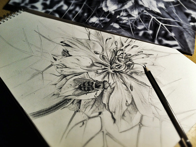 Sketch For Fun! black and white botanical drawing graphite pencil drawing photorealism sketch