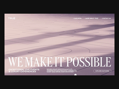 TRUE Initial Concept animation ui web web design website