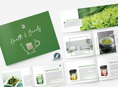 Brochure Design branding brochure design graphic design logo