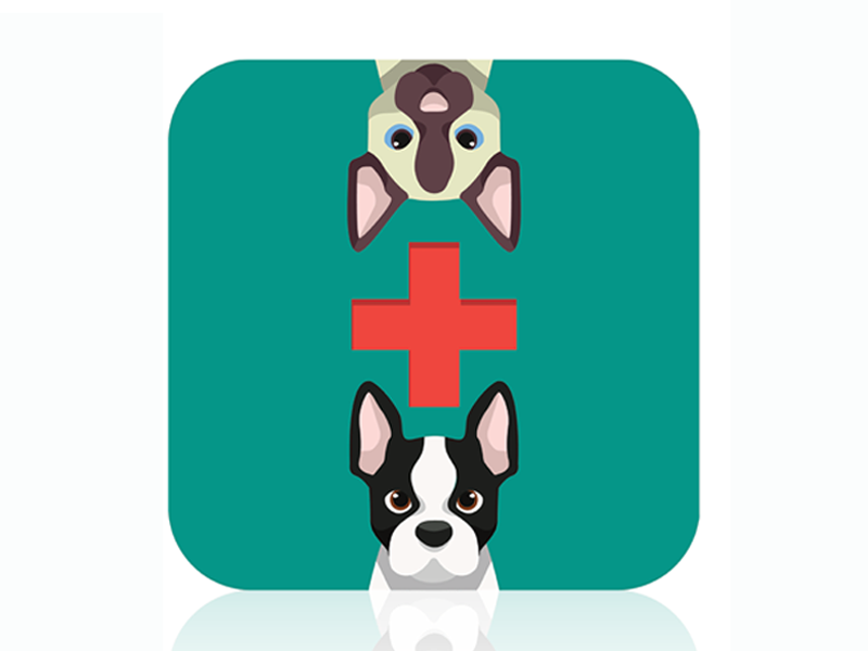 Petvet icon