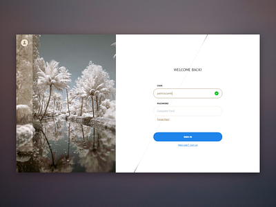 Login Screen agency dailyui sign in travel ui ux