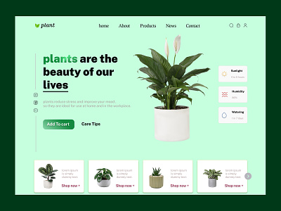Plant Shop Website design graphic design typography ui
