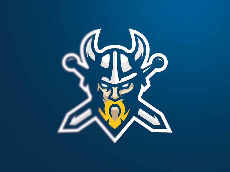 Viking by Djordje Djordjevic on Dribbble