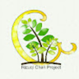Rizuqi Chan Project