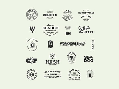 2021 Logo & Branding Summary