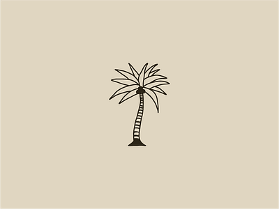 Palm earth illustration minimal palm palmtree tropics