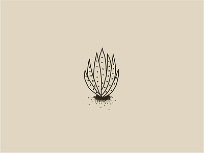 Plant illustration line minimal plant