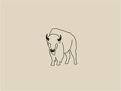 Buffalo animal buffalo earthy illustration minimal