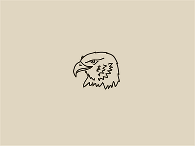 Eagle animal eagle earthy illustration minimal pnw