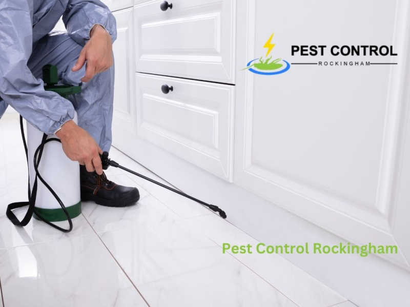 Pest Control Rockingham by Pest Control on Dribbble