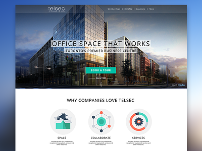 Telsec corporate design proposal landing page web site