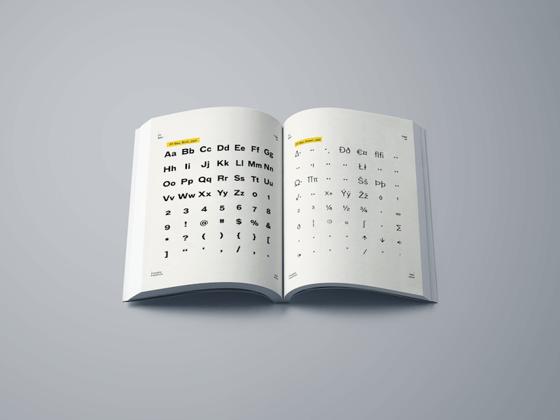 Book page 02 mockup 2