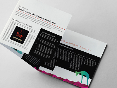 Portfolio Flyer