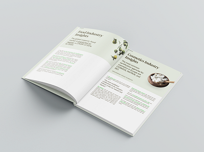 foodcircle Ebook — Part 3 book graphic design layout typogaphy