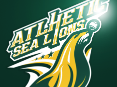 Muhamamad Rizki Taufiq Tags Esports Dribbble