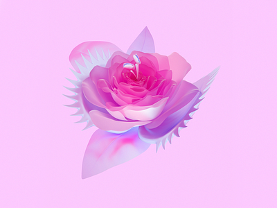 Venus Rose 3d abstract cinema 4d floral flower maxon minimal nature pastel plant rose surreal