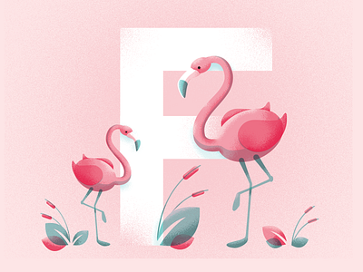 F is for Flamingo! 36daysoftype flamingo illustration type typedesign