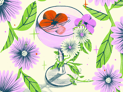 The Drink botanical illustration illustrator procreate