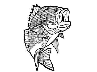 Fish Vector