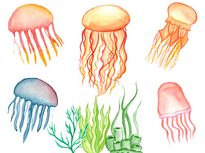 Watercolor Jellyfish Clipart Set artist design digital digital art drawing graphic design illustration jellyfish jellyfish illustration logo sea animal vector watercolor artist watercolor clipart watercolor jellyfish