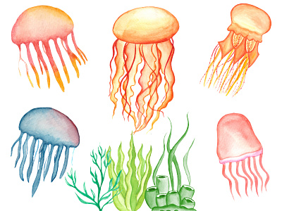 Watercolor Jellyfish Clipart Set